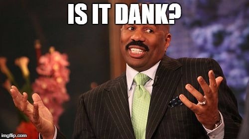 Steve Harvey Meme | IS IT DANK? | image tagged in memes,steve harvey | made w/ Imgflip meme maker