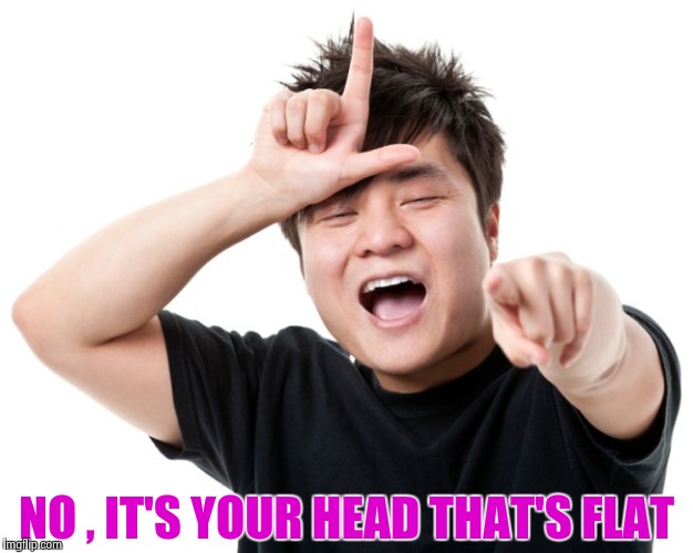 You're a loser | NO , IT'S YOUR HEAD THAT'S FLAT | image tagged in you're a loser | made w/ Imgflip meme maker