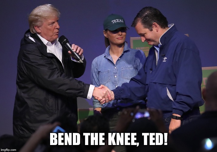 BEND THE KNEE, TED! | image tagged in ted cruz bends the knee | made w/ Imgflip meme maker