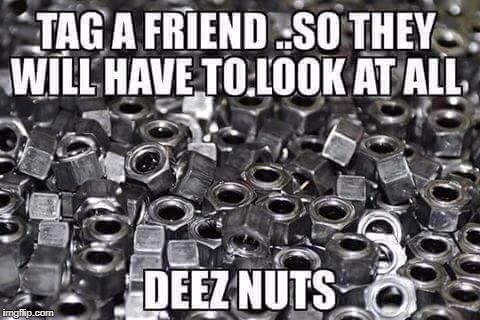 tag a friend today | image tagged in funny,funny memes,deez nuts | made w/ Imgflip meme maker