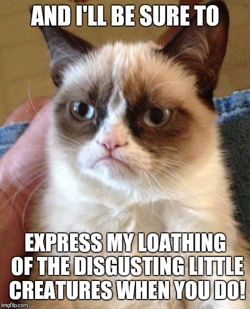 Grumpy Cat Meme | AND I'LL BE SURE TO EXPRESS MY LOATHING OF THE DISGUSTING LITTLE CREATURES WHEN YOU DO! | image tagged in memes,grumpy cat | made w/ Imgflip meme maker