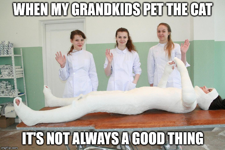 For some reason, one of the life skills my granddaughters never learned was how to pet a cat. | WHEN MY GRANDKIDS PET THE CAT; IT'S NOT ALWAYS A GOOD THING | image tagged in grandkids,cats,injuries | made w/ Imgflip meme maker