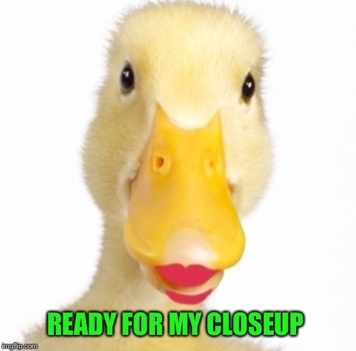 READY FOR MY CLOSEUP | made w/ Imgflip meme maker