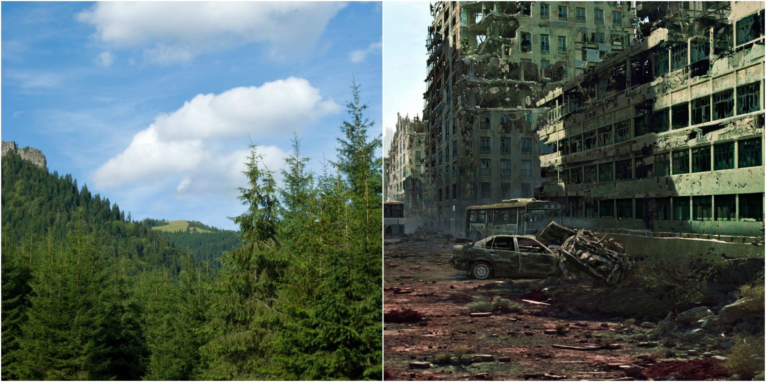 Forest | City Blank Meme Template