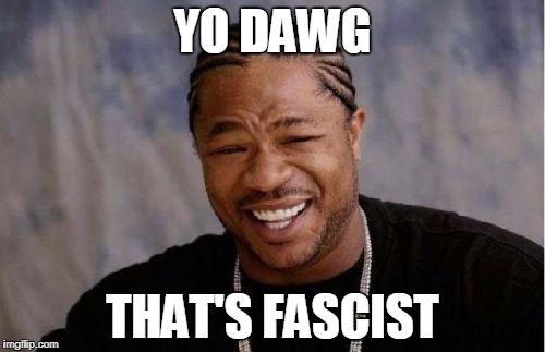 Yo Dawg Heard You Meme | YO DAWG; THAT'S FASCIST | image tagged in memes,yo dawg heard you | made w/ Imgflip meme maker