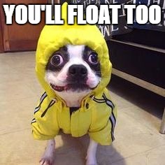 Reminds me of the little brother from the new Steven King's IT trailers | YOU'LL FLOAT TOO | image tagged in it dog,memes,it,you'll float too,pennywise | made w/ Imgflip meme maker
