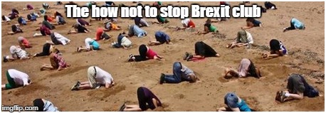 #StopBrexit | The how not to stop Brexit club | image tagged in brexit,little britain,eu | made w/ Imgflip meme maker