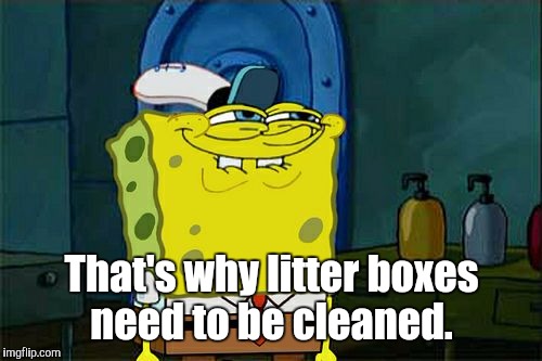 Don't You Squidward Meme | That's why litter boxes need to be cleaned. | image tagged in memes,dont you squidward | made w/ Imgflip meme maker