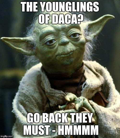 Yoda on DACA | THE YOUNGLINGS OF DACA? GO BACK THEY MUST - HMMMM | image tagged in memes,star wars yoda,yoda,daca,immigration,illegal immigration | made w/ Imgflip meme maker