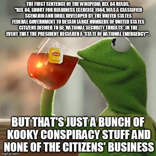 But That's None Of My Business Meme | THE FIRST SENTENCE OF THE WIKIPEDIA REX 84 READS, "REX 84, SHORT FOR READINESS EXERCISE 1984, WAS A CLASSIFIED SCENARIO AND DRILL DEVELOPED  | image tagged in memes,but thats none of my business,kermit the frog | made w/ Imgflip meme maker