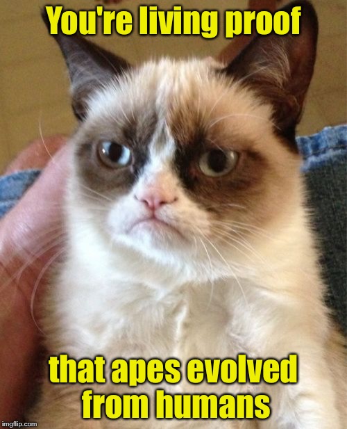Grumpy Cat Meme | You're living proof; that apes evolved from humans | image tagged in memes,grumpy cat | made w/ Imgflip meme maker