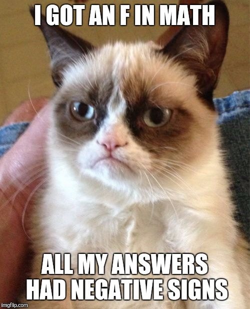 Grumpy Cat Says 2 + 2 = -4 | I GOT AN F IN MATH; ALL MY ANSWERS HAD NEGATIVE SIGNS | image tagged in memes,grumpy cat | made w/ Imgflip meme maker