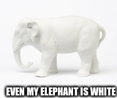 EVEN MY ELEPHANT IS WHITE | made w/ Imgflip meme maker