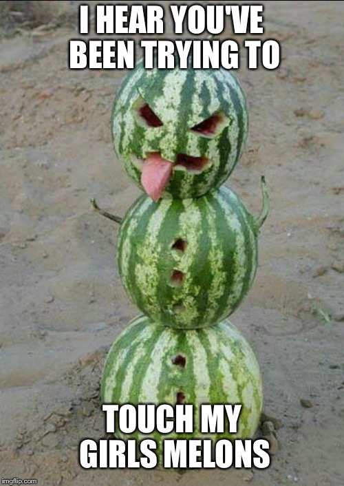 I HEAR YOU'VE BEEN TRYING TO; TOUCH MY GIRLS MELONS | image tagged in melon man | made w/ Imgflip meme maker