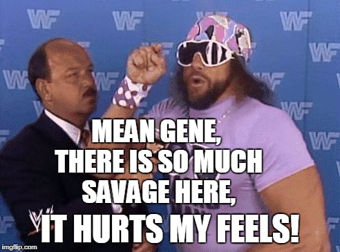 savage level | MEAN GENE, THERE IS SO MUCH SAVAGE HERE, IT HURTS MY FEELS! | image tagged in savage level | made w/ Imgflip meme maker