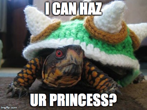 image tagged in funny,turtles,mario | made w/ Imgflip meme maker