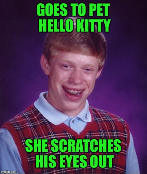 Bad Luck Brian Meme | GOES TO PET HELLO KITTY SHE SCRATCHES HIS EYES OUT | image tagged in memes,bad luck brian | made w/ Imgflip meme maker