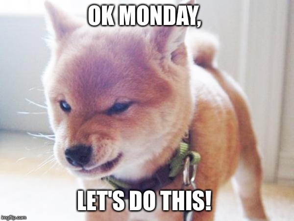 monday face | OK MONDAY, LET'S DO THIS! | image tagged in monday face | made w/ Imgflip meme maker