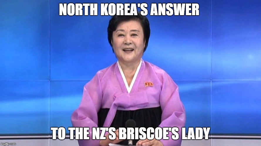 NORTH KOREA'S ANSWER; TO THE NZ'S BRISCOE'S LADY | image tagged in north korea | made w/ Imgflip meme maker