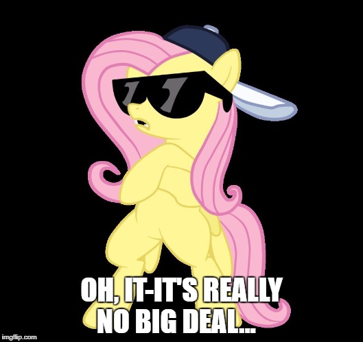 Fluttershy behind closed doors | OH, IT-IT'S REALLY NO BIG DEAL... | image tagged in fluttershy behind closed doors | made w/ Imgflip meme maker