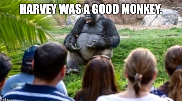 Gorilla Glue | HARVEY WAS A GOOD MONKEY. | image tagged in gorilla glue | made w/ Imgflip meme maker