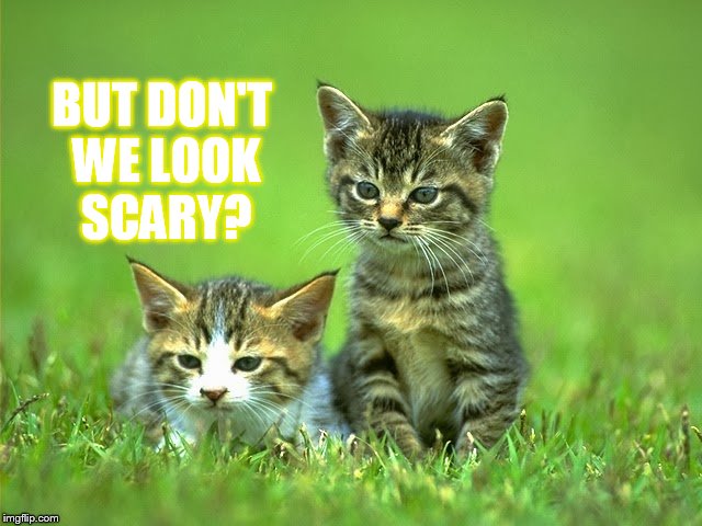 BUT DON'T WE LOOK SCARY? | made w/ Imgflip meme maker