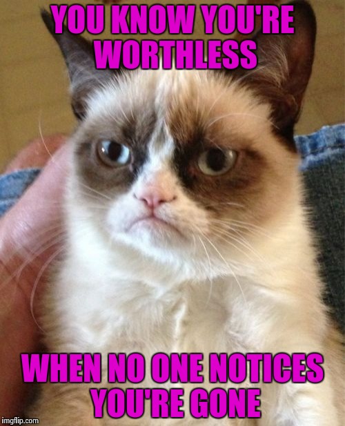 Grumpy Cat Meme | YOU KNOW YOU'RE WORTHLESS WHEN NO ONE NOTICES YOU'RE GONE | image tagged in memes,grumpy cat | made w/ Imgflip meme maker