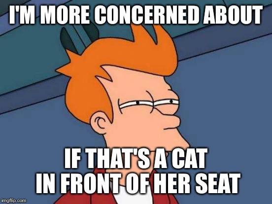 Futurama Fry Meme | I'M MORE CONCERNED ABOUT IF THAT'S A CAT IN FRONT OF HER SEAT | image tagged in memes,futurama fry | made w/ Imgflip meme maker