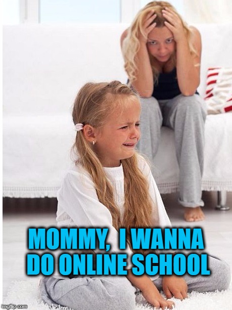 whine | MOMMY,  I WANNA DO ONLINE SCHOOL | image tagged in whine | made w/ Imgflip meme maker