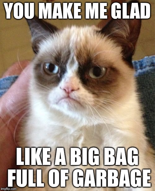 Grumpy Cat Meme | YOU MAKE ME GLAD; LIKE A BIG BAG FULL OF GARBAGE | image tagged in memes,grumpy cat | made w/ Imgflip meme maker