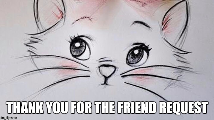 THANK YOU FOR THE FRIEND REQUEST | made w/ Imgflip meme maker
