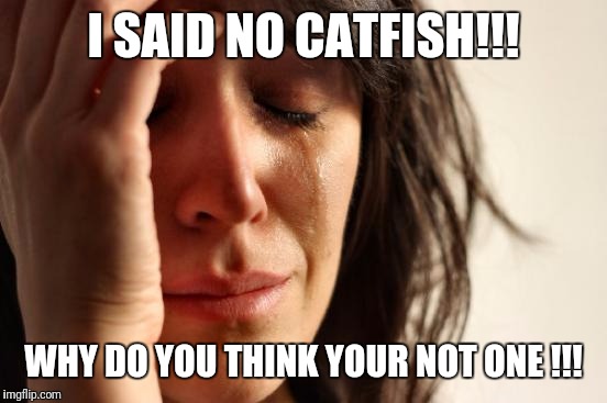 First World Problems Meme | I SAID NO CATFISH!!! WHY DO YOU THINK YOUR NOT ONE !!! | image tagged in memes,first world problems | made w/ Imgflip meme maker