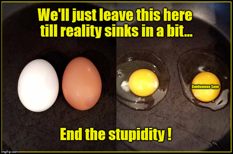 End the Stupidity | We'll just leave this here till reality sinks in a bit... End the stupidity ! | image tagged in racism | made w/ Imgflip meme maker