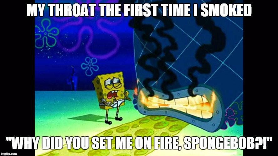 Why Did You Set Me on Fire | MY THROAT THE FIRST TIME I SMOKED; "WHY DID YOU SET ME ON FIRE, SPONGEBOB?!" | image tagged in fire,spongebob,smoke,house,house on fire,burning | made w/ Imgflip meme maker