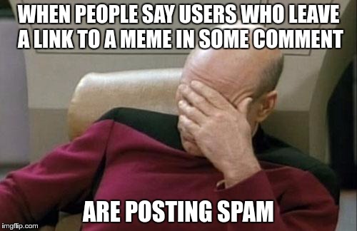 Captain Picard Facepalm Meme | WHEN PEOPLE SAY USERS WHO LEAVE A LINK TO A MEME IN SOME COMMENT; ARE POSTING SPAM | image tagged in memes,captain picard facepalm | made w/ Imgflip meme maker