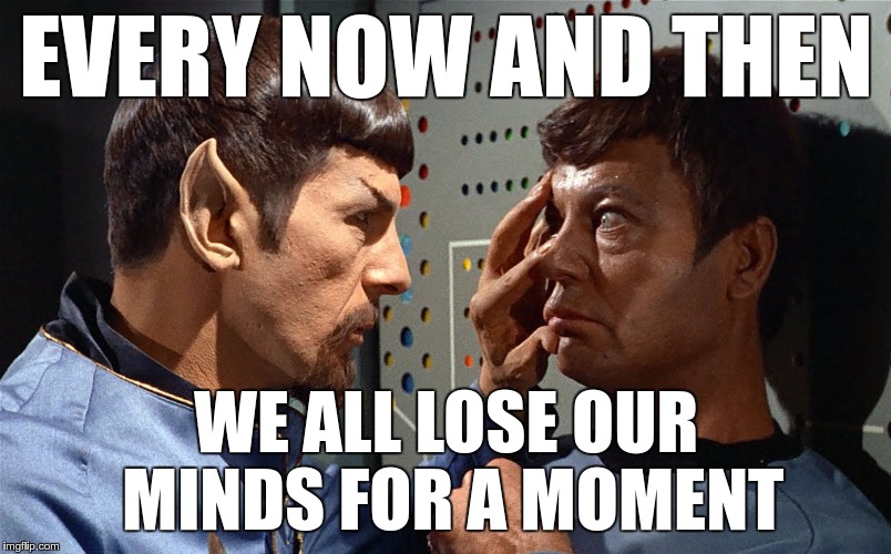spock n bones | EVERY NOW AND THEN WE ALL LOSE OUR MINDS FOR A MOMENT | image tagged in spock n bones | made w/ Imgflip meme maker