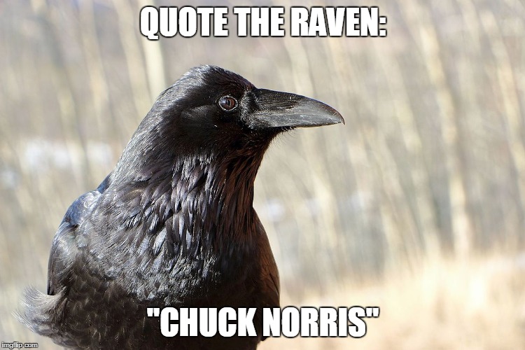 Chuck Norris: The Raven | QUOTE THE RAVEN:; "CHUCK NORRIS" | image tagged in chuck norris,memes,raven | made w/ Imgflip meme maker