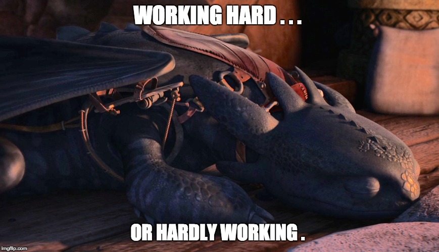 WORKING HARD . . . OR HARDLY WORKING . | image tagged in how to train your dragon,toothless | made w/ Imgflip meme maker