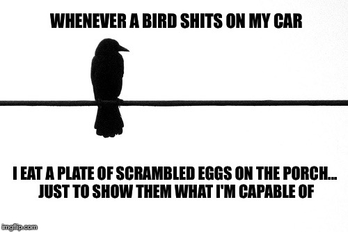 They're not as innocent as they seem  |  WHENEVER A BIRD SHITS ON MY CAR; I EAT A PLATE OF SCRAMBLED EGGS ON THE PORCH...  JUST TO SHOW THEM WHAT I'M CAPABLE OF | image tagged in bird shit,funny,eggs,car wash,intimidation | made w/ Imgflip meme maker