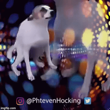 FINALLY | image tagged in gifs | made w/ Imgflip video-to-gif maker