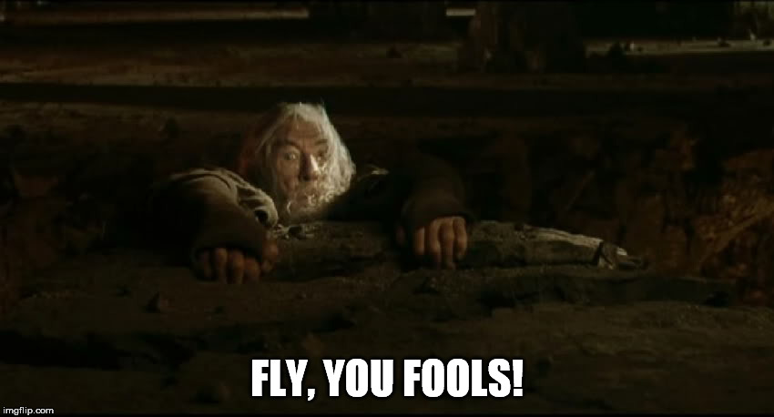 FLY, YOU FOOLS! | made w/ Imgflip meme maker