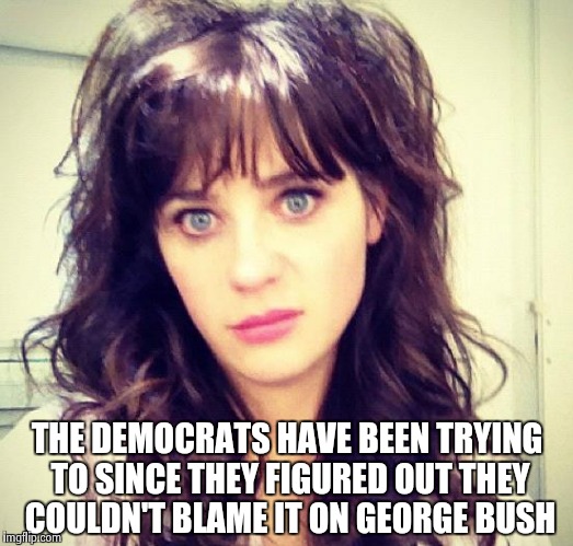 Zooey Deschanel | THE DEMOCRATS HAVE BEEN TRYING TO SINCE THEY FIGURED OUT THEY COULDN'T BLAME IT ON GEORGE BUSH | image tagged in zooey deschanel | made w/ Imgflip meme maker