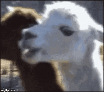 1va10p.gif
