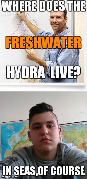 Not even Good Guy Teacher can help Stupid Student Stan's Stupidity | WHERE DOES THE; FRESHWATER; HYDRA  LIVE? IN SEAS,OF COURSE | image tagged in stupid student stan,good guy teacher,memes,funny,school,biology | made w/ Imgflip meme maker