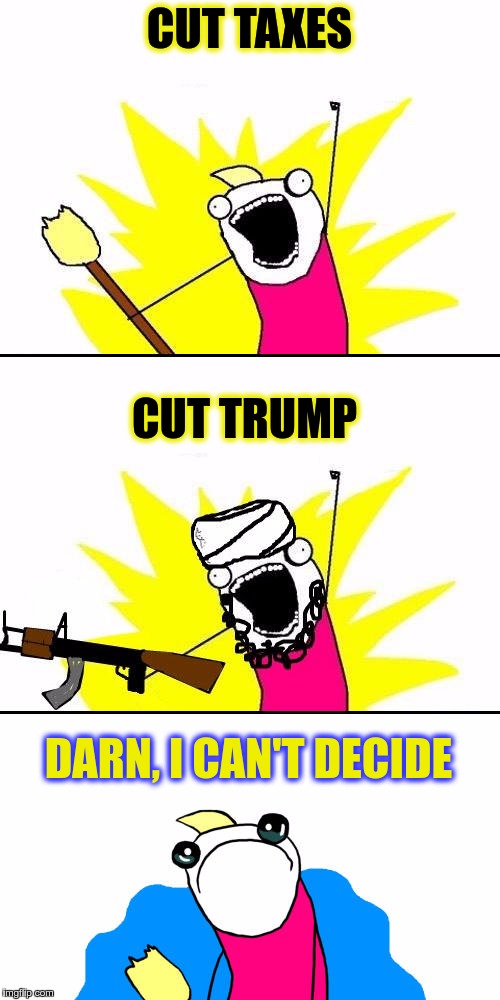 RIOT PROBLEMS | CUT TAXES; CUT TRUMP; DARN, I CAN'T DECIDE | image tagged in memes,funny,riot,problems | made w/ Imgflip meme maker