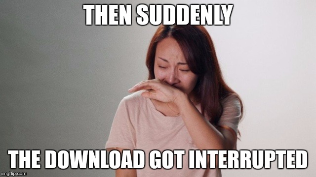 Crying | THEN SUDDENLY THE DOWNLOAD GOT INTERRUPTED | image tagged in crying | made w/ Imgflip meme maker