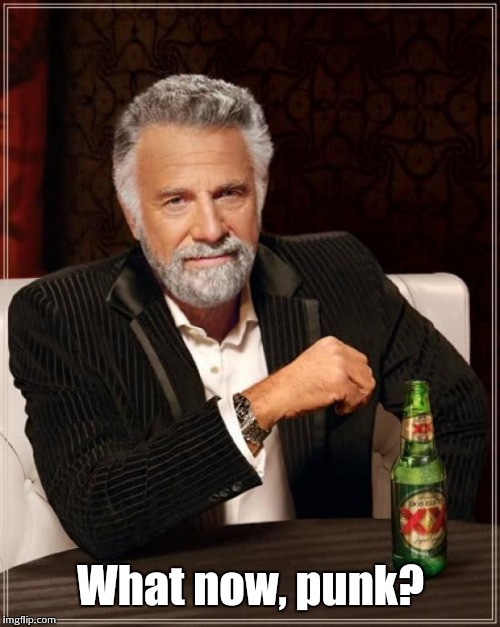The Most Interesting Man In The World Meme | What now, punk? | image tagged in memes,the most interesting man in the world | made w/ Imgflip meme maker