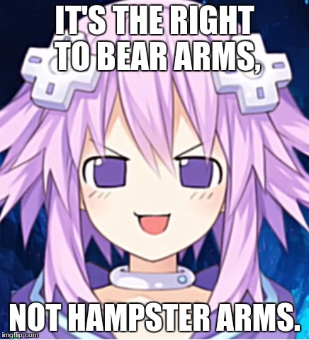 NepFace / Perv face | IT'S THE RIGHT TO BEAR ARMS, NOT HAMPSTER ARMS. | image tagged in nepface / perv face | made w/ Imgflip meme maker