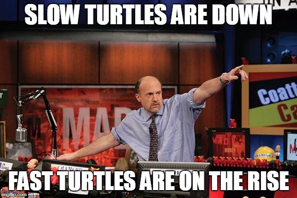 Mad Money Jim Cramer Meme | SLOW TURTLES ARE DOWN; FAST TURTLES ARE ON THE RISE | image tagged in memes,mad money jim cramer | made w/ Imgflip meme maker