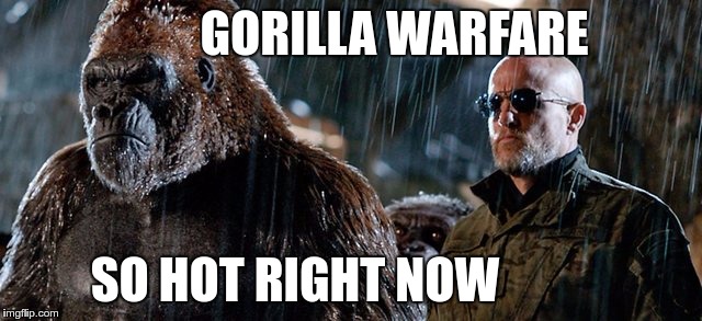 GORILLA WARFARE SO HOT RIGHT NOW | made w/ Imgflip meme maker